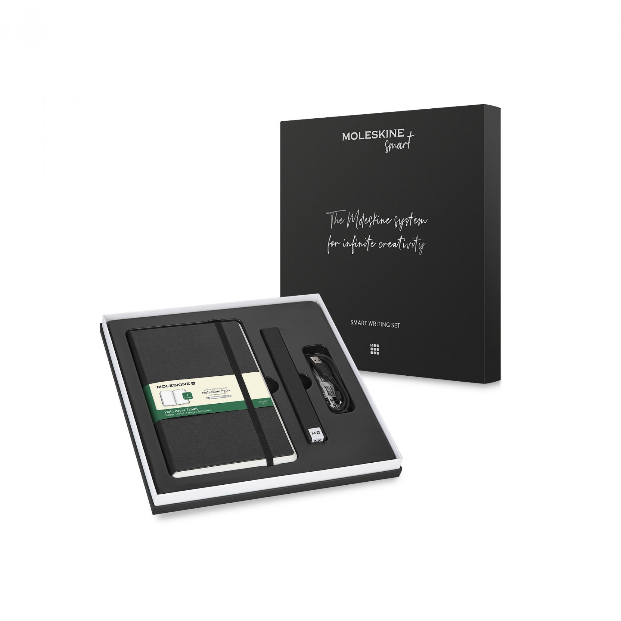 Смарт-блокнот Moleskin Pen+ Ellipse NWP-F70